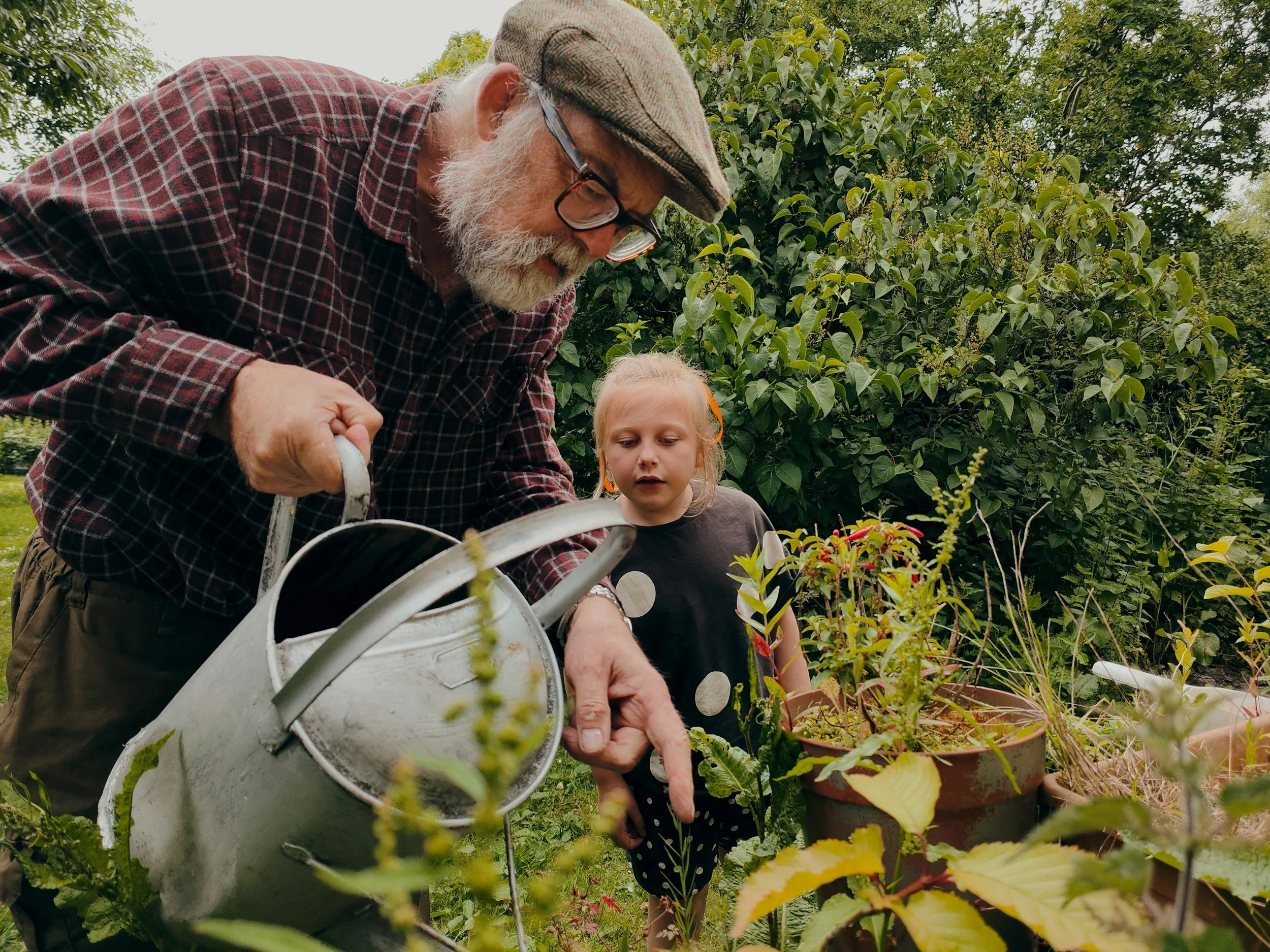 Roseville Elder Services