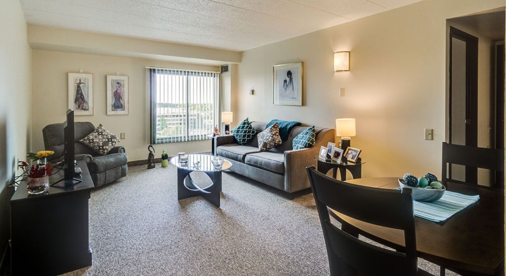 Cozy living room of a senior apartment.