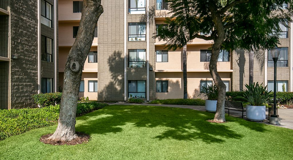 Lush outdoor space with trees and grass