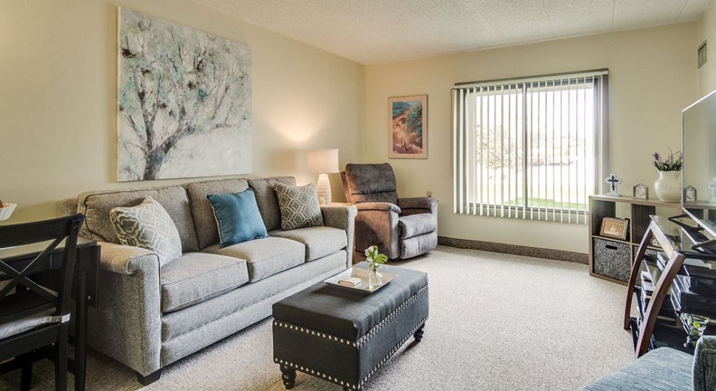Comfortable living room with elegant decor