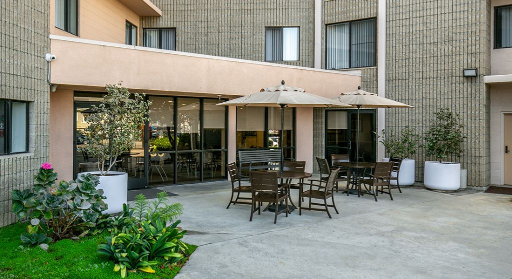 Outdoor seating area with umbrellas and plants