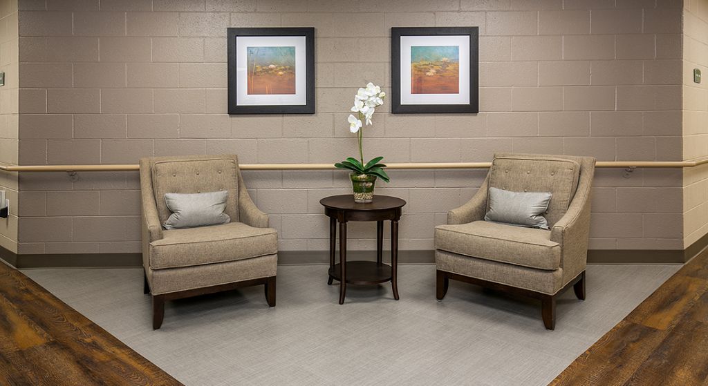 Corner seating area with two chairs and a plant.