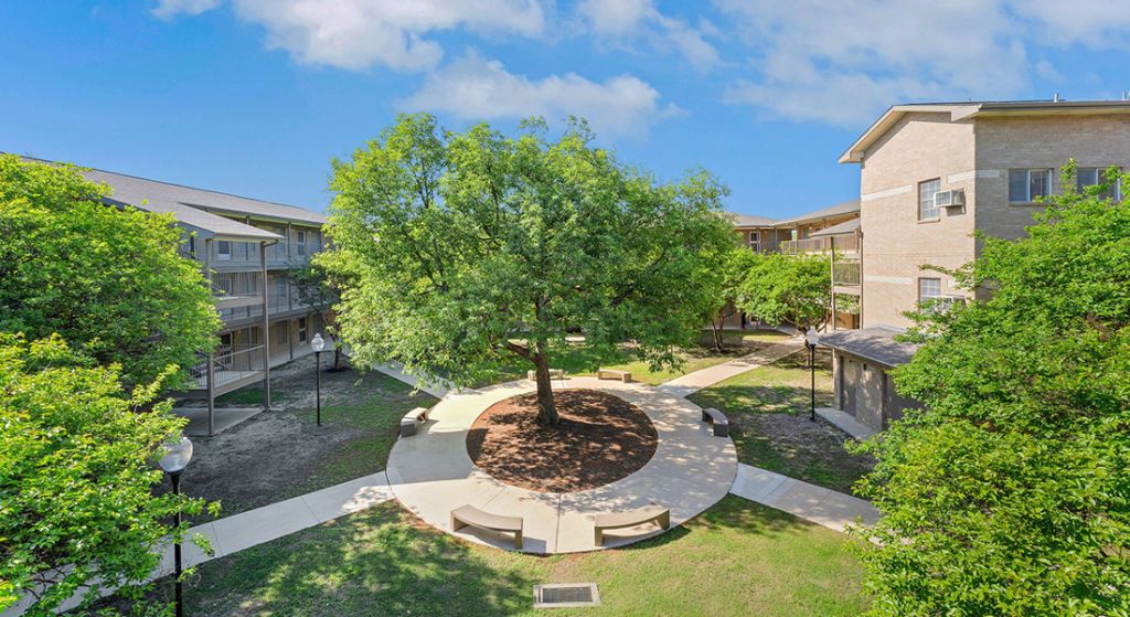 Outdoor courtyard with benches and tree.