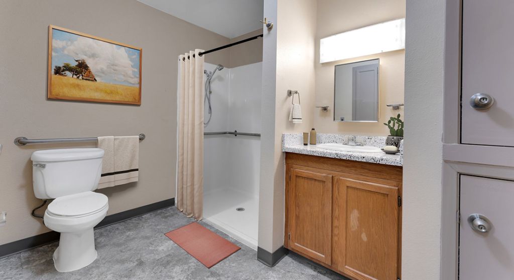 Clean and accessible senior bathroom setup