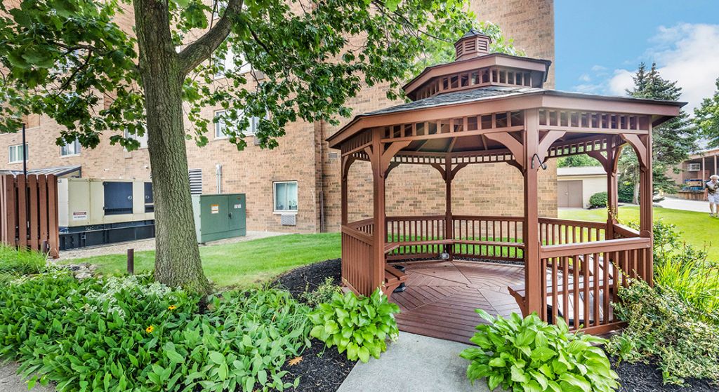 Gazebo surrounded by greenery in outdoor space