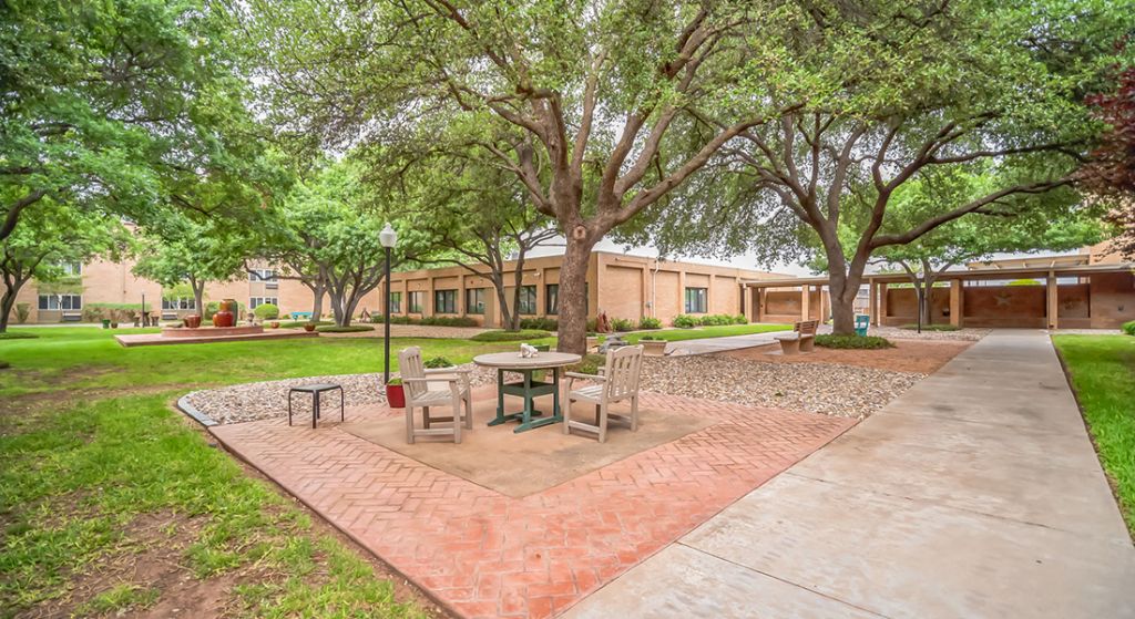 Outdoor seating area with trees and pathways