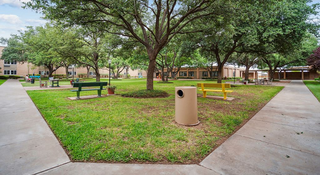 Green park area with benches and pathways