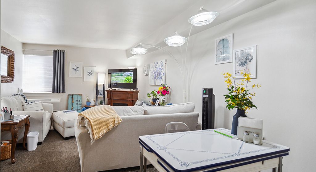Cozy living room space with modern decor