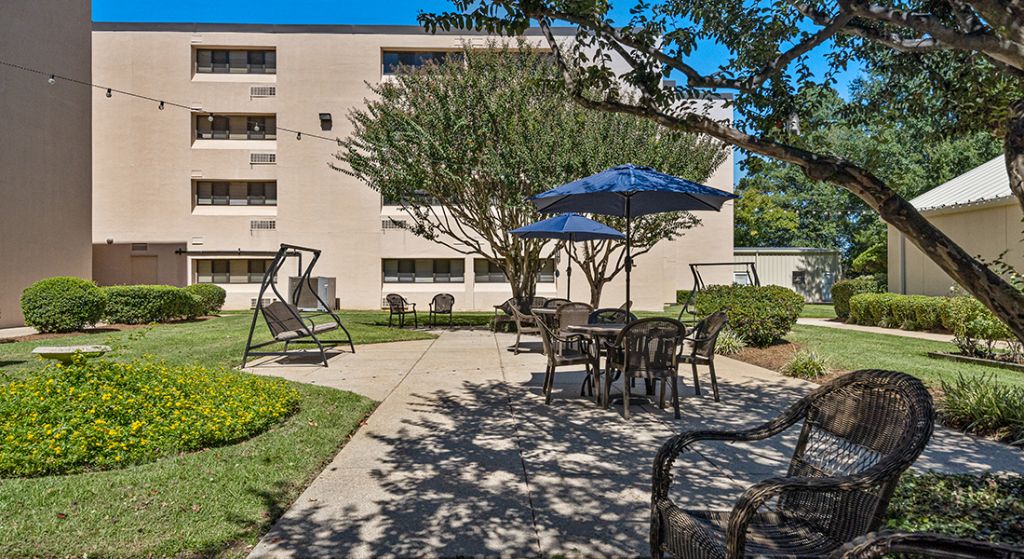 Outdoor seating area with trees and umbrellas