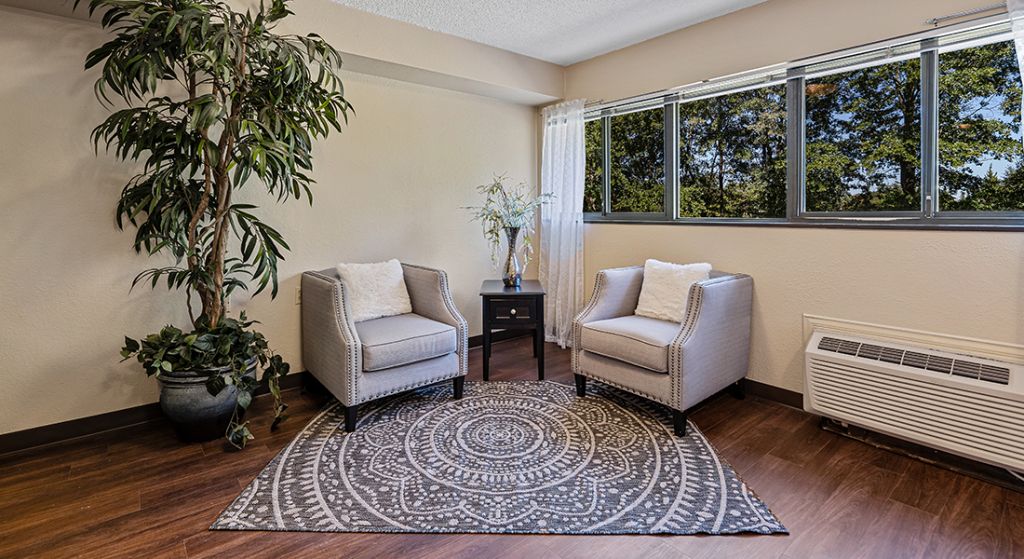 Cozy seating area with plush chairs and plant.