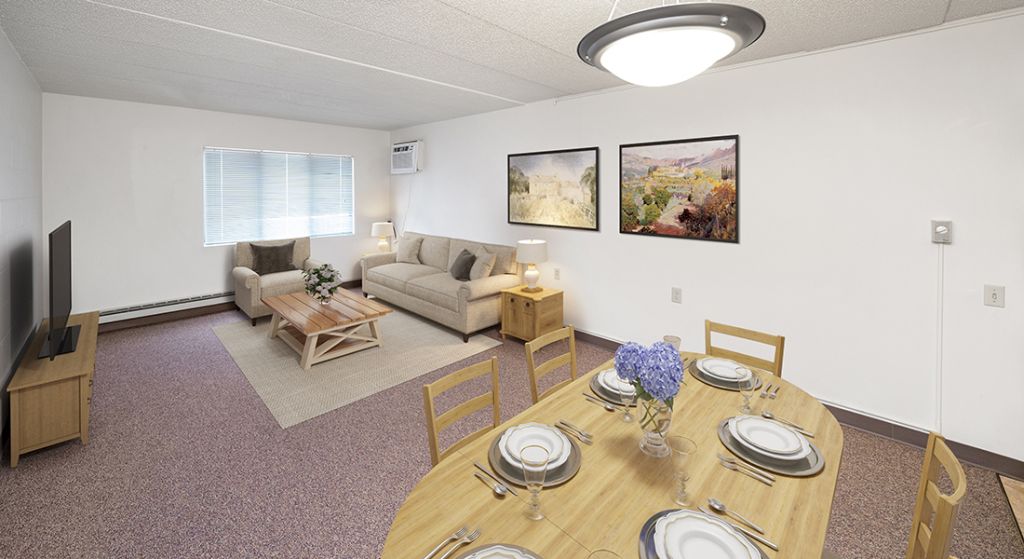 Bright, furnished living room and dining area.