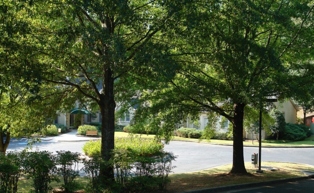 Hearth Stone At Roswell