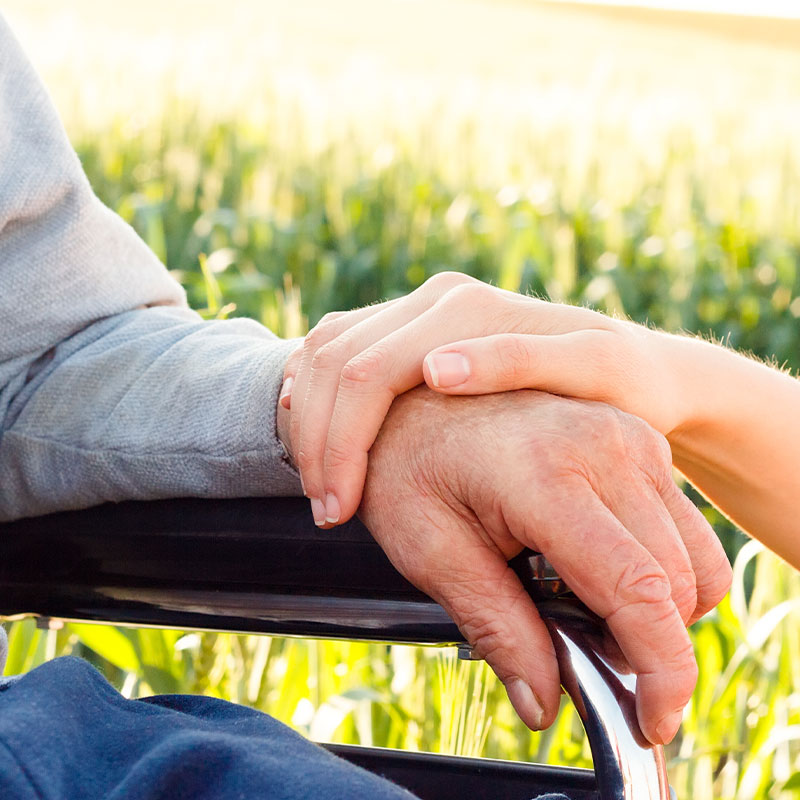Hands of a caregiver and resident in a field