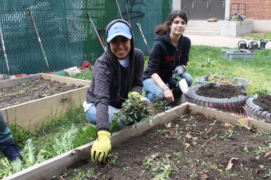 Volunteers working in a community garden.
