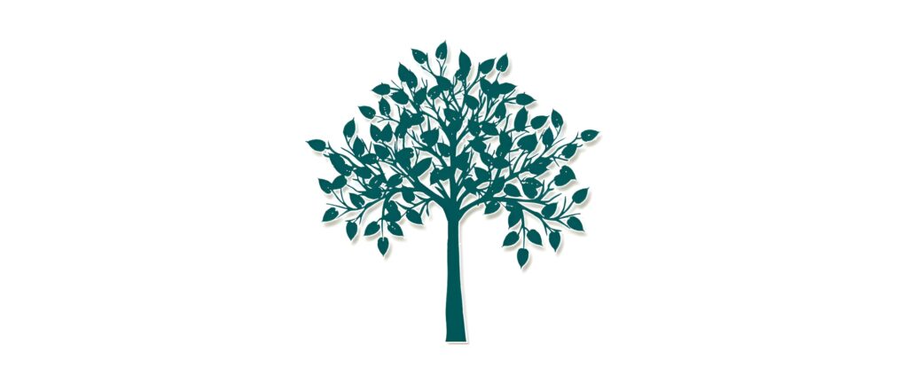 The Dennelisse LHCSA