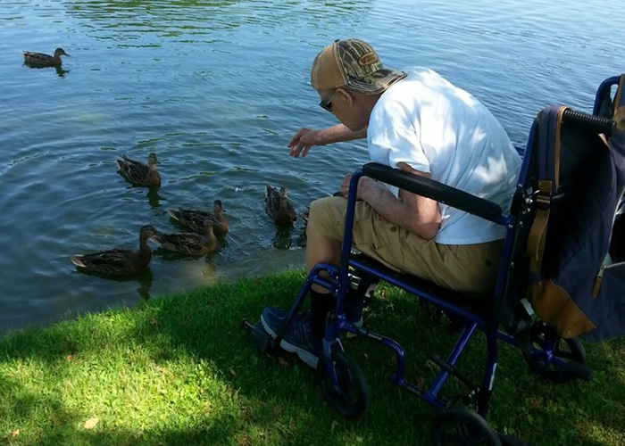 Resident feeding ducks by a pond