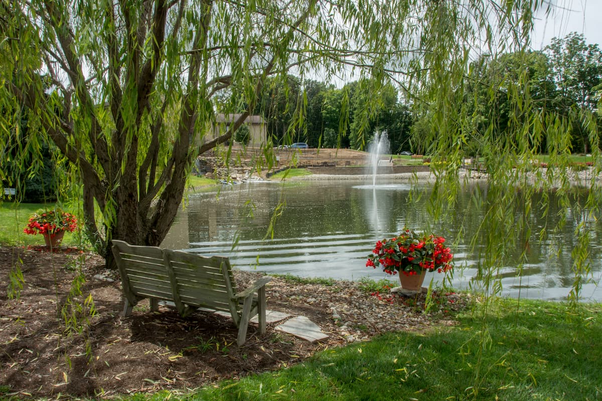 A peaceful outdoor view by a pond with flowers