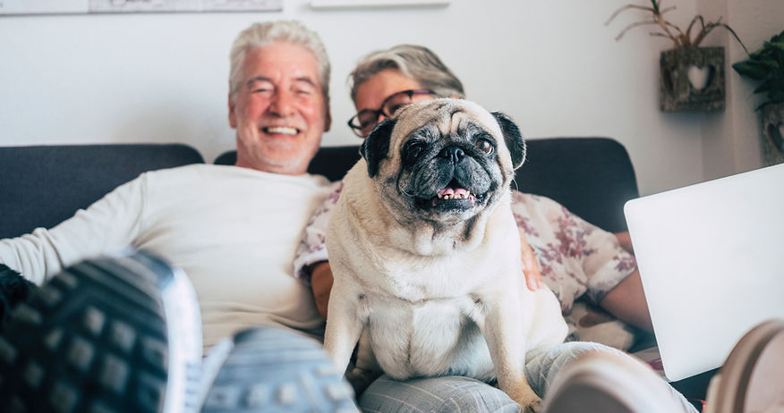 Seniors relaxing with a pug dog on a sofa