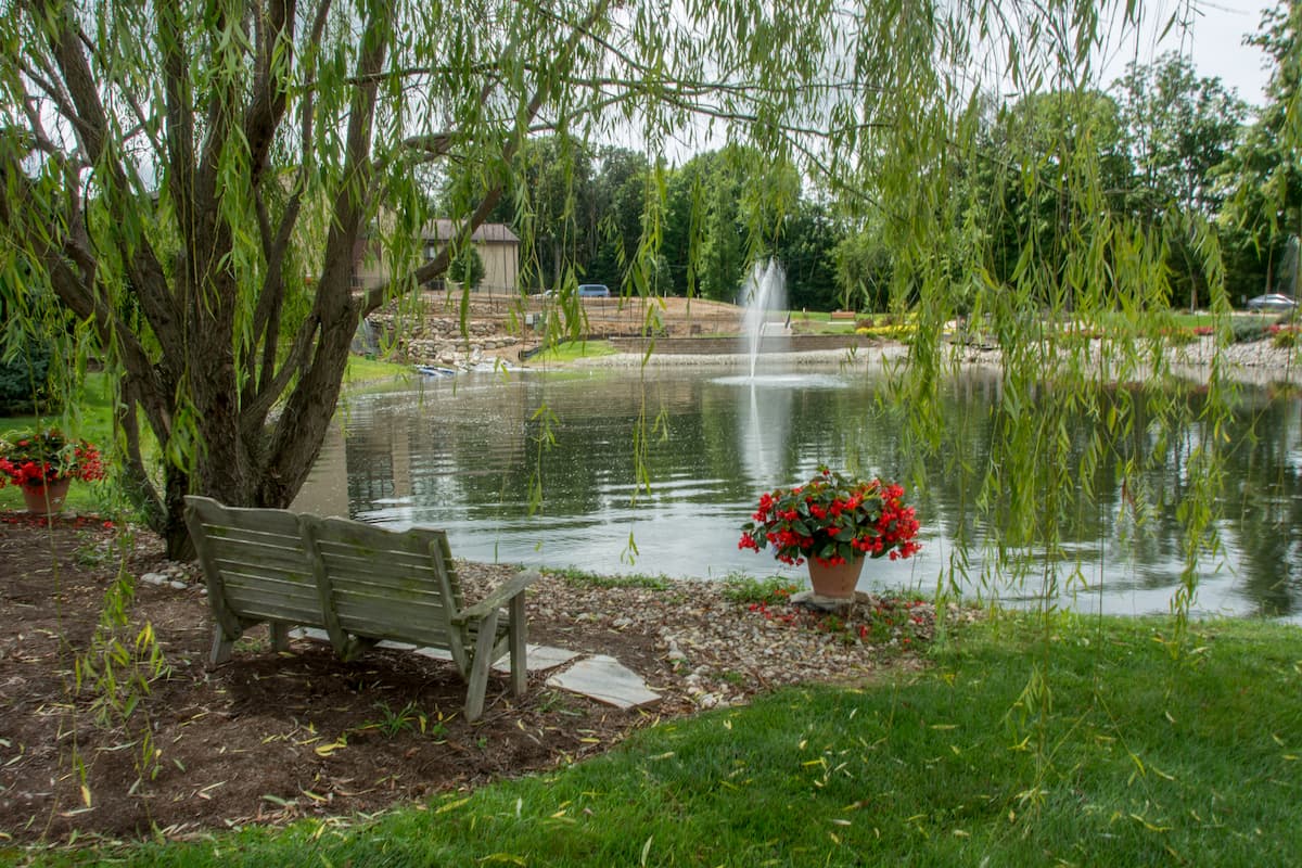 Relaxing outdoor bench by the pond with flowers