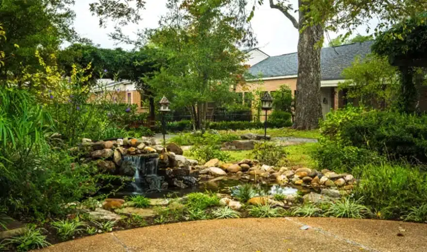 Serene outdoor garden with a small waterfall and landscaping