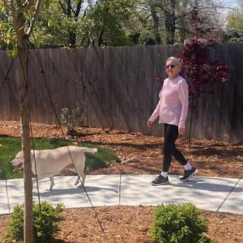 Senior walking a dog in an outdoor area.