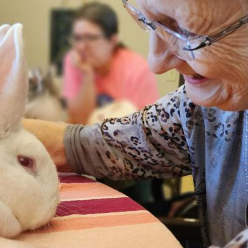Resident interacting with a pet rabbit.