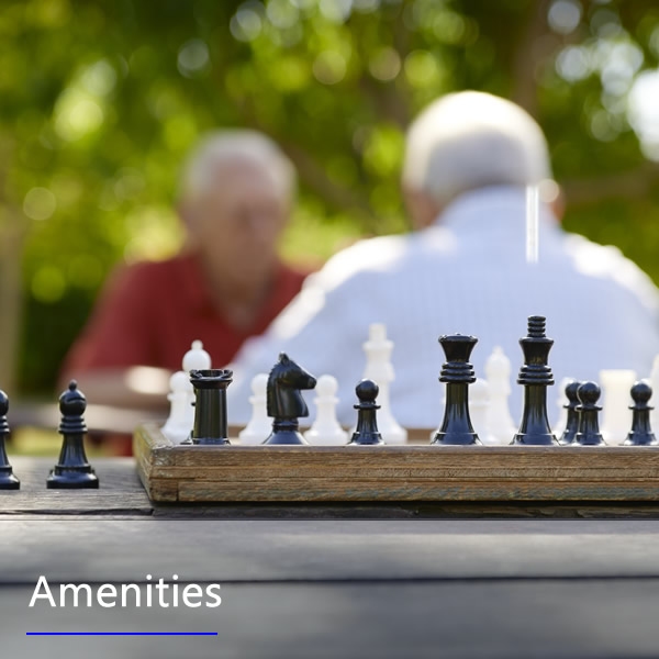 Residents playing chess outdoors in a vibrant garden.