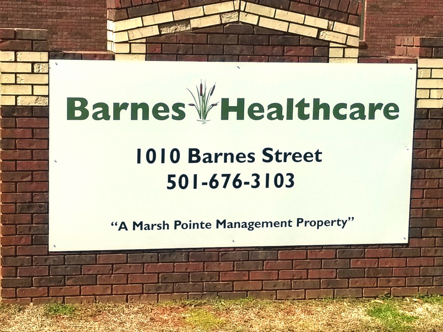 Barnes Healthcare