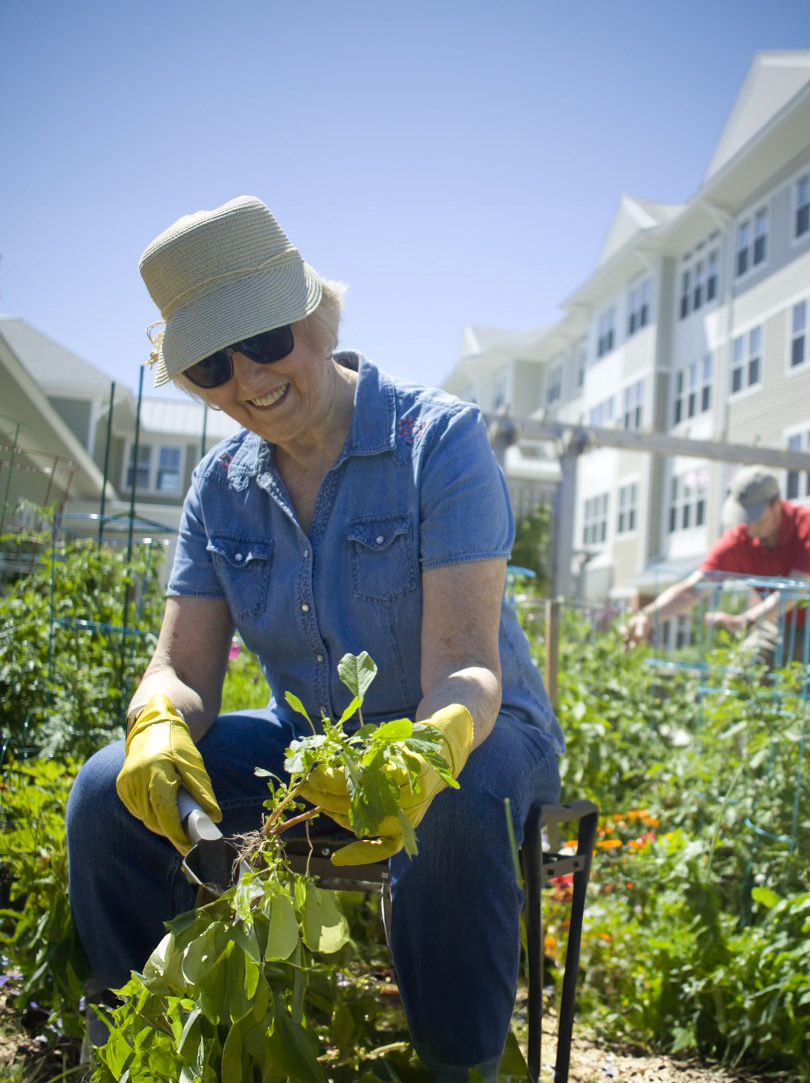Resident gardening in a sunny outdoor space.