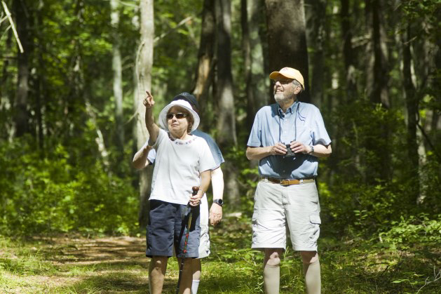 Seniors walking on a nature trail