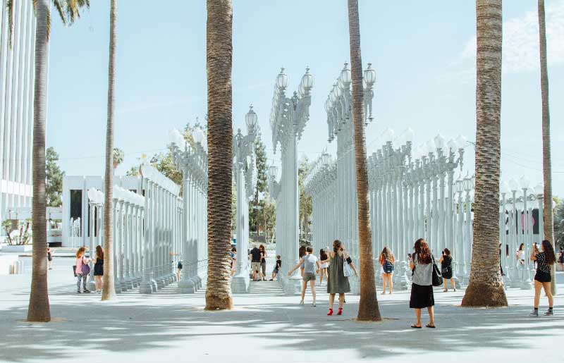 Creative Housing, III – Newton