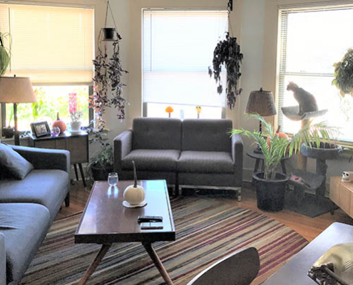 Cozy common area with a sofa and plants