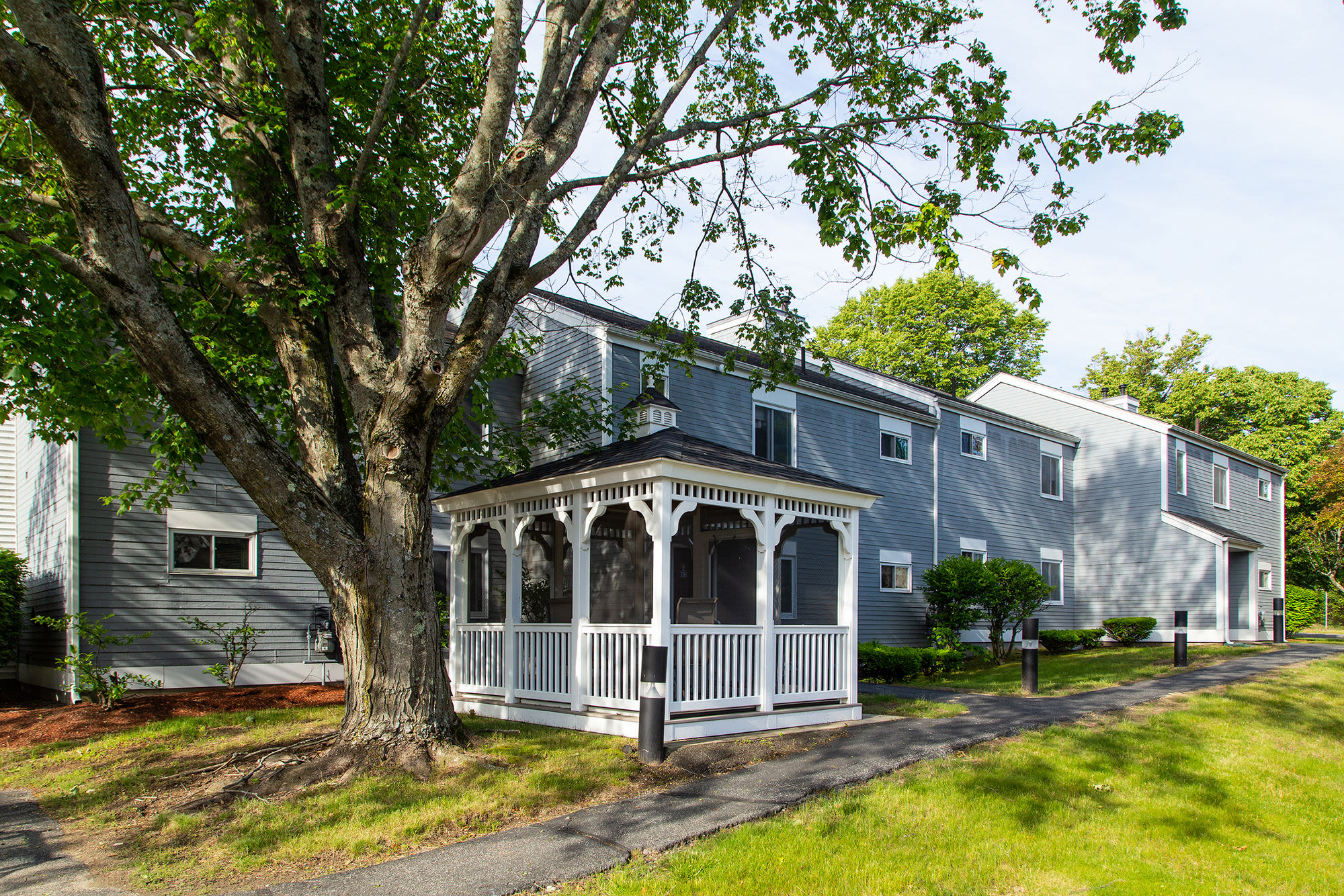Exterior view of building with gazebo and tree.