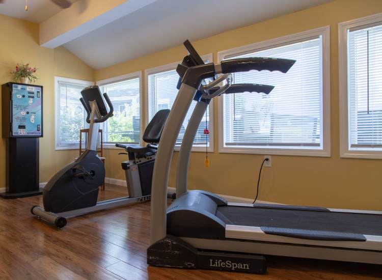 Fitness equipment in a brightly lit room