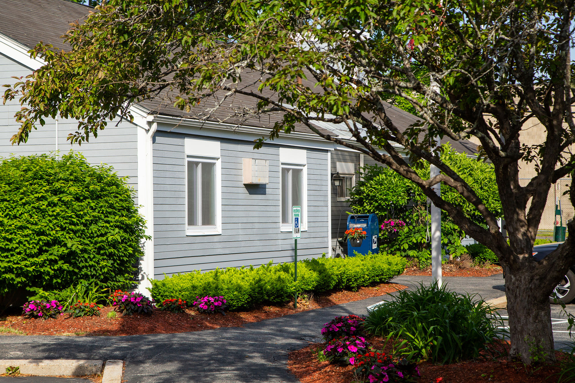 Exterior view of landscaped area and building side.