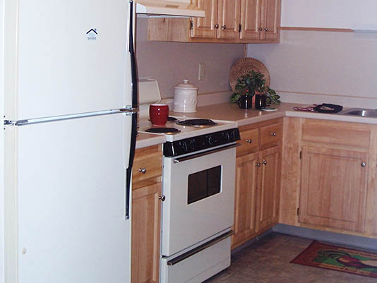 Kitchen area with appliances and wooden cabinets.
