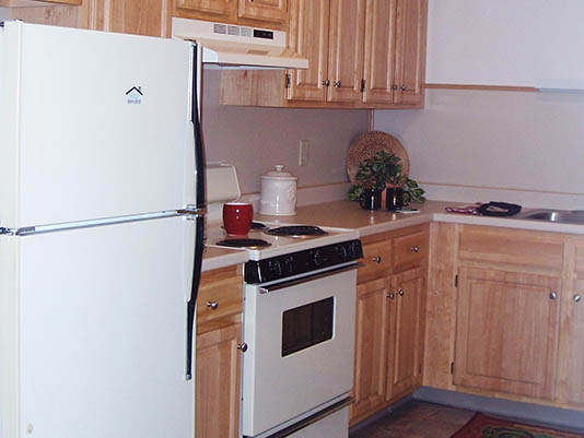 Clean kitchen area with appliances and wooden cabinets.