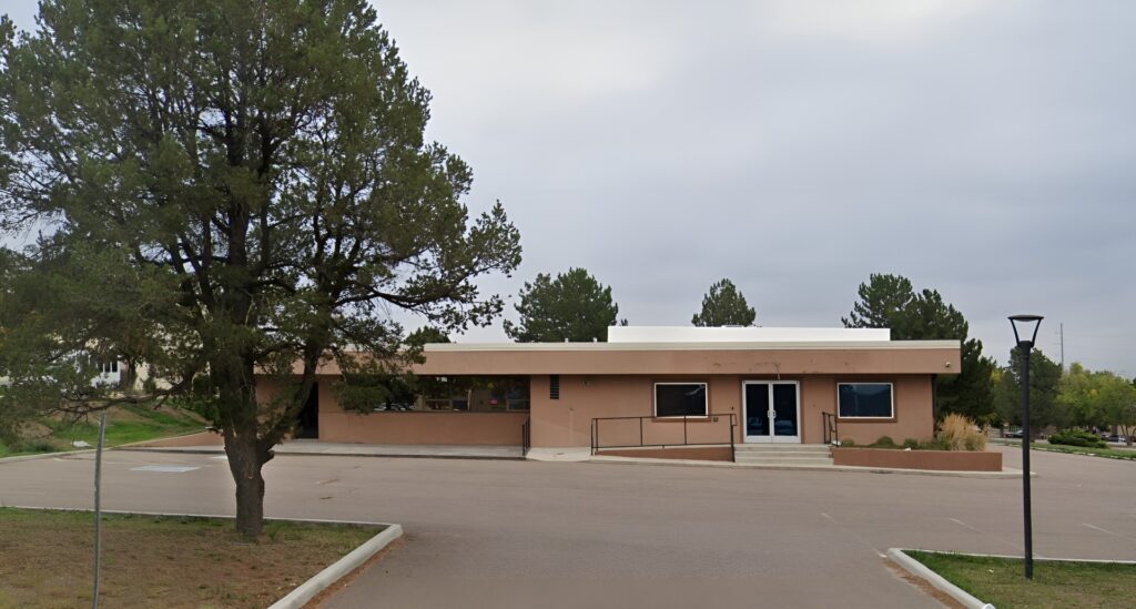 Elite Senior Care And Services Inc