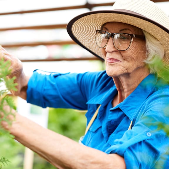 Elderly woman gardening outdoors in sunny weather