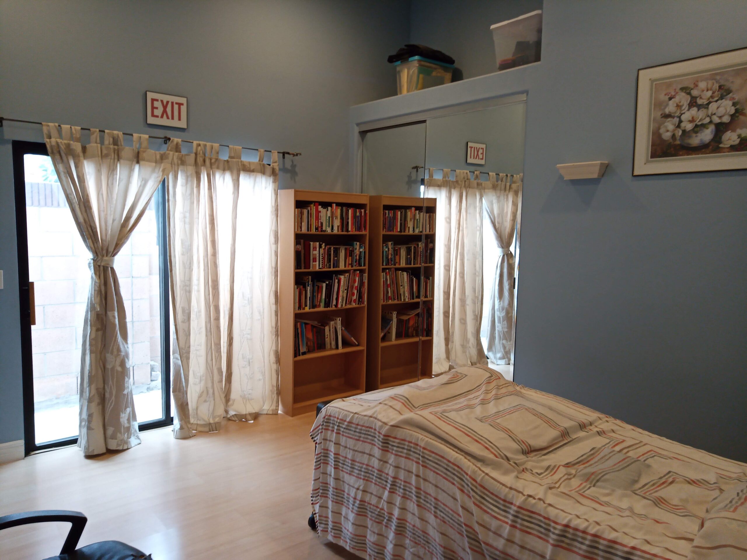 Interior room with a bed and bookshelves