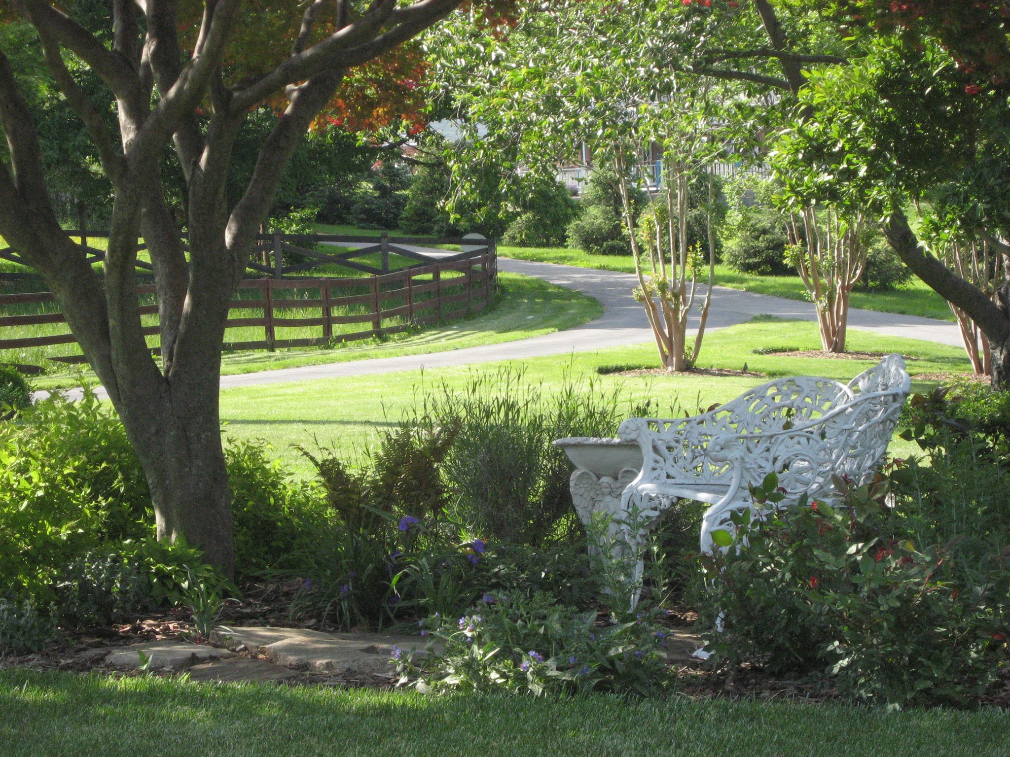 Quiet outdoor garden seating under trees
