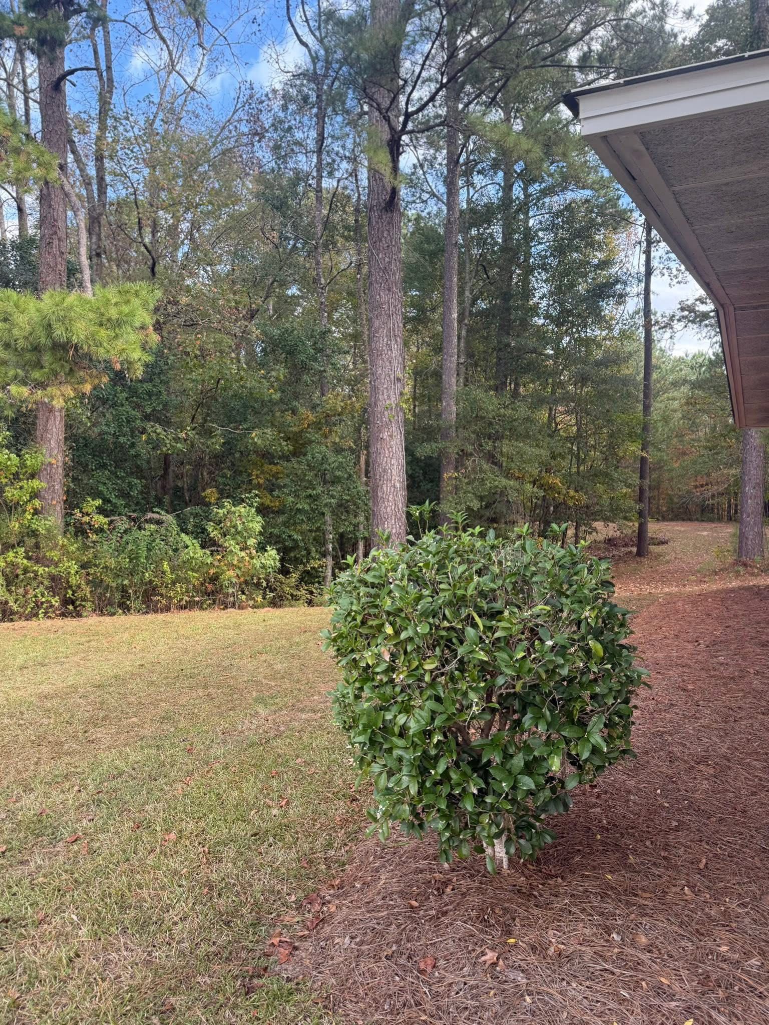 Poplar Springs Nursing Center — photo 3