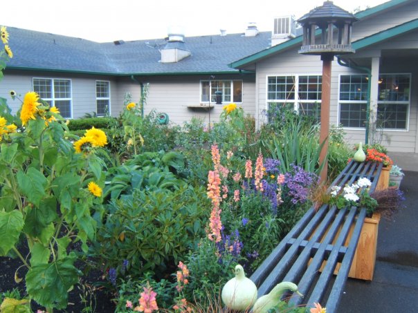Colorful garden area with flowers and plants