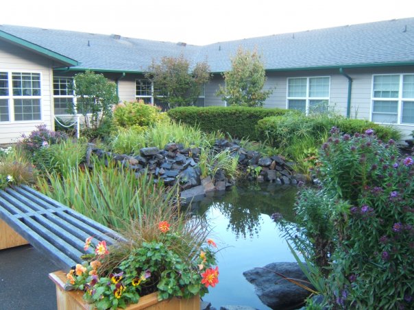 Lush garden area with pond and seating
