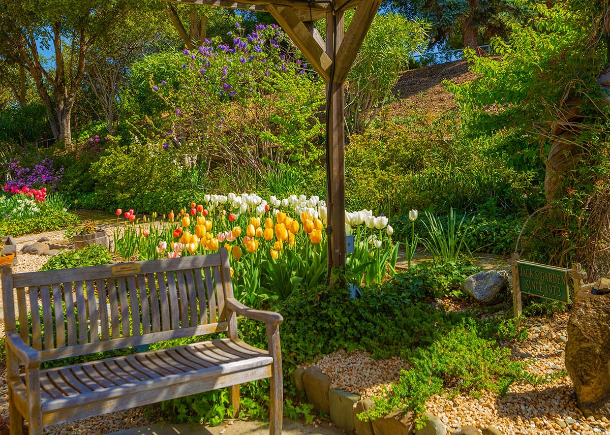 Colorful flower garden with a wooden bench