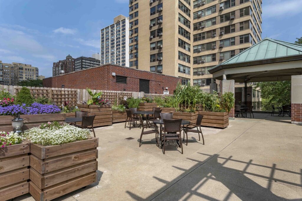 Outdoor garden area with seating and plants
