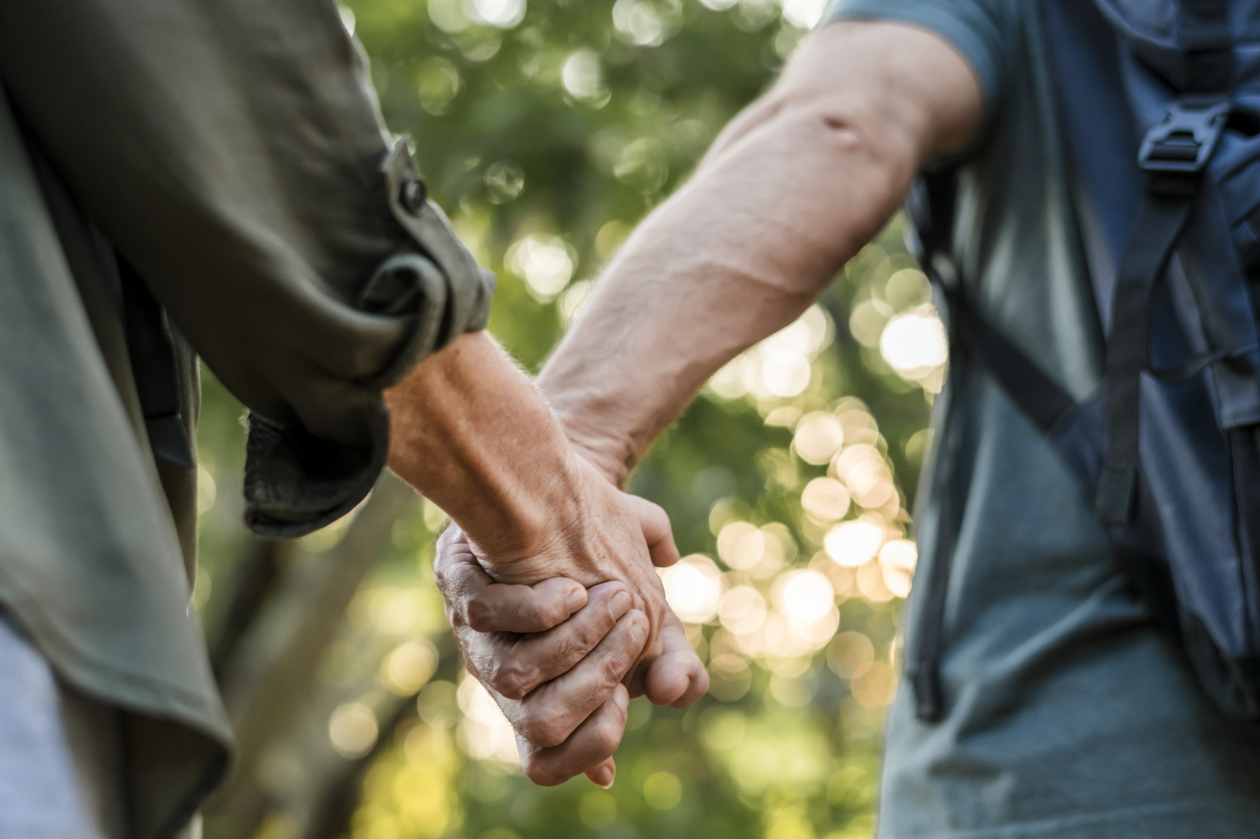 Two hands holding each other in a garden setting