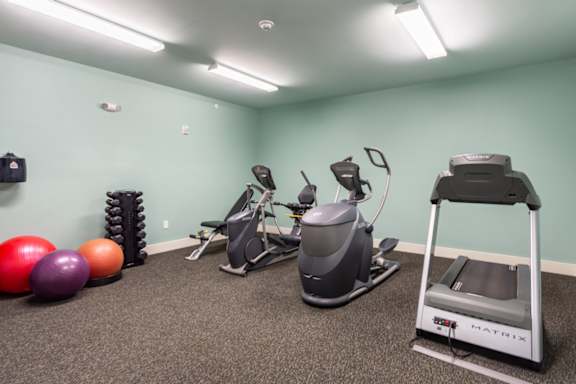 Fitness area with exercise equipment and stability balls
