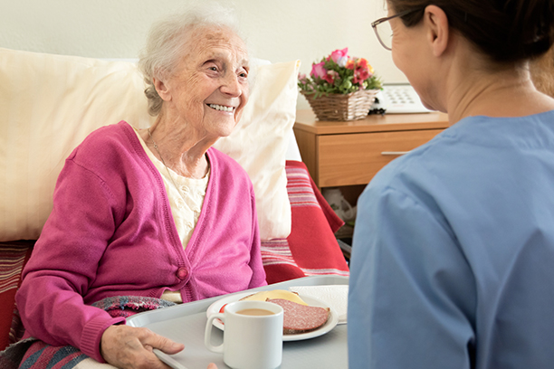 Visiting Angels Senior Home Care