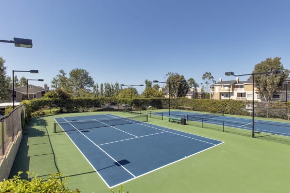 Harbor Point Apartments